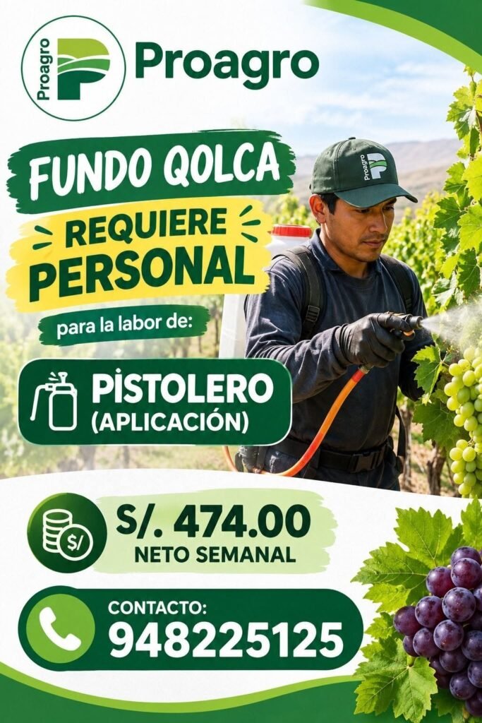Pistolero (Aplicación) - Imagen 1