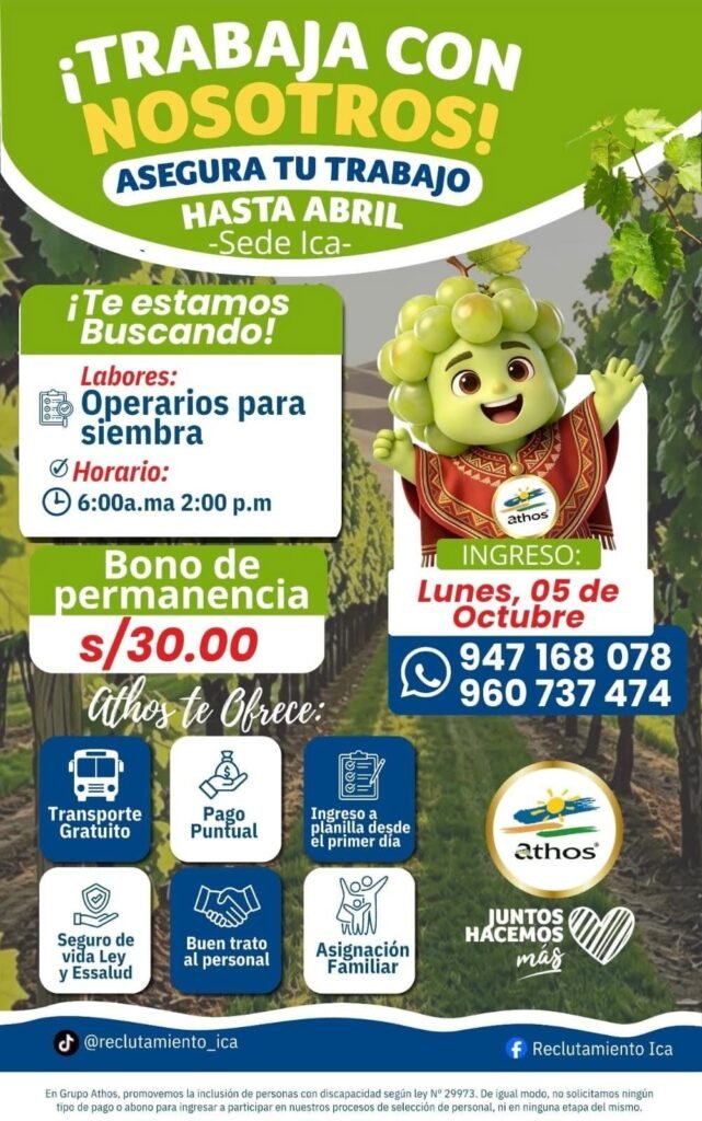 Labores de uva, arandano y granada - Imagen 3
