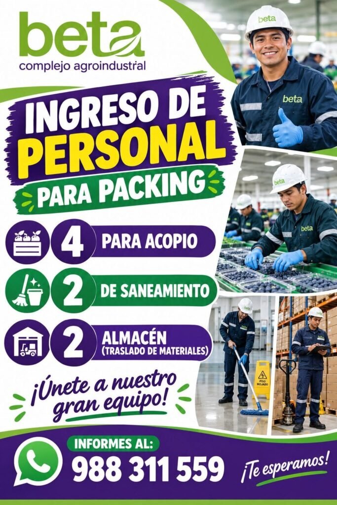 Personal para packing de arandanos - Imagen 1