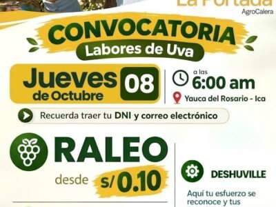 Raleo d euva en la portada S.A.C