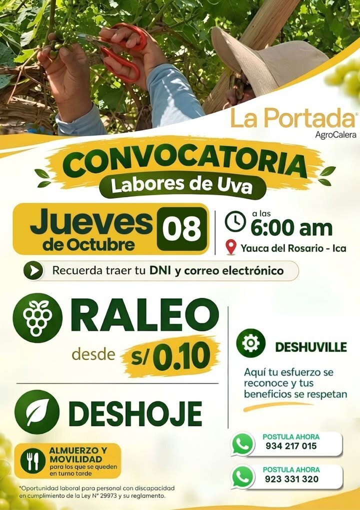 Raleo d euva en la portada S.A.C