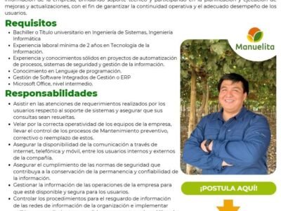 Analista de Sistemas
