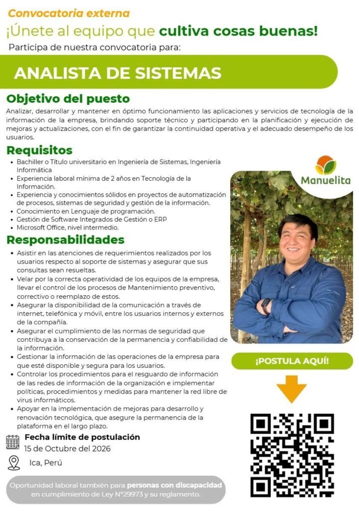 Analista de Sistemas - Imagen 1