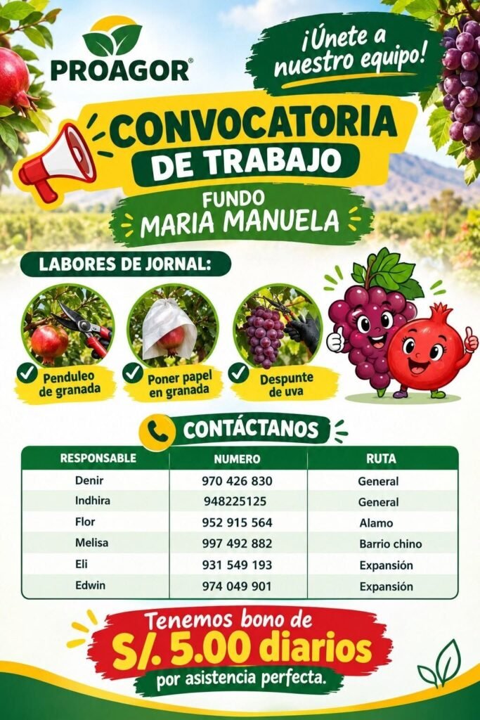 Puestos para labores de jornal - Imagen 1