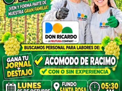 Labores en fundos de Ica