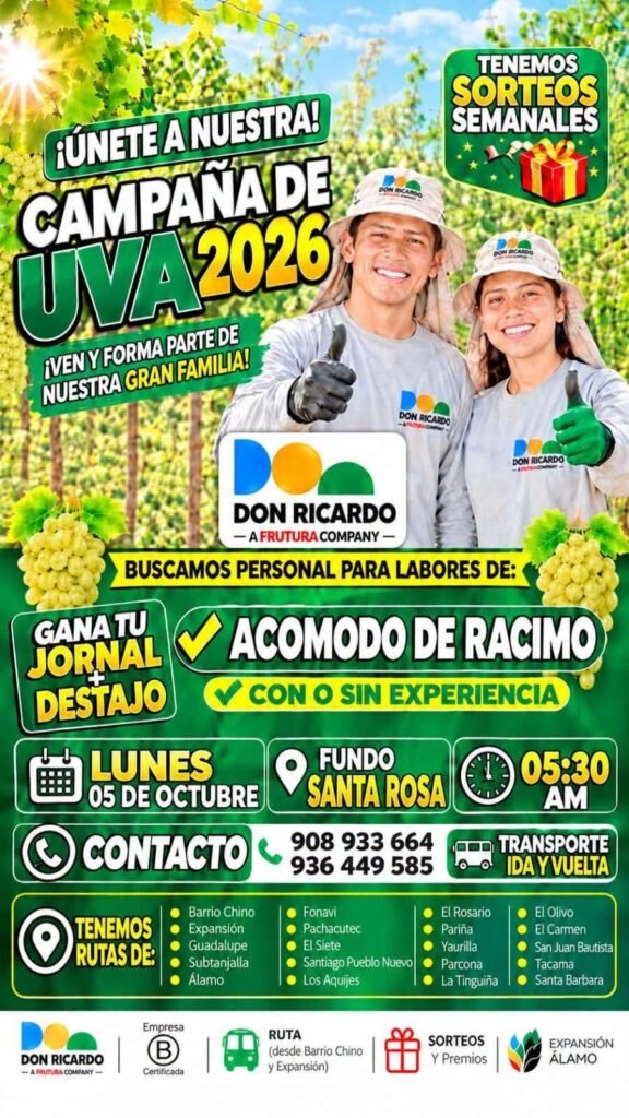 Labores en fundos de Ica - Imagen 1