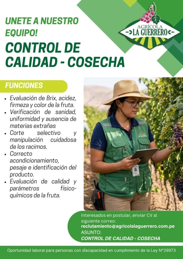 Nuevas vacantes disponibles - Imagen 1