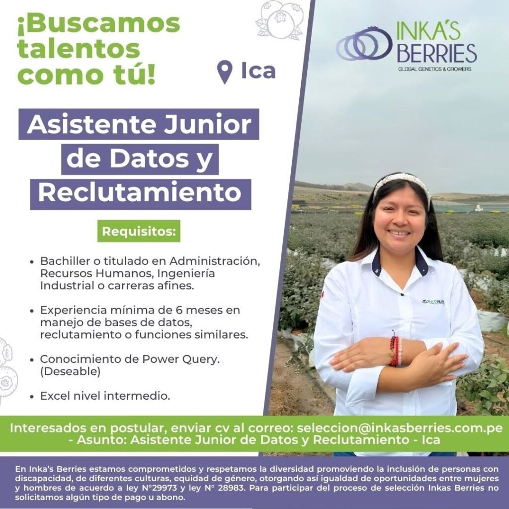 Asistente Junior de Datos y Reclutamiento - Imagen 1
