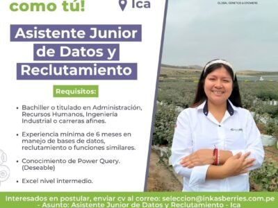 Asistente Junior de Datos y Reclutamiento
