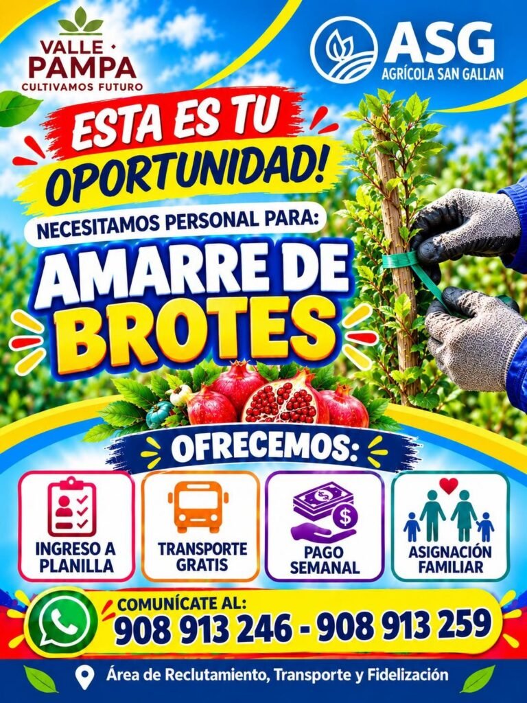 Amarre de brotes de granada - Imagen 1