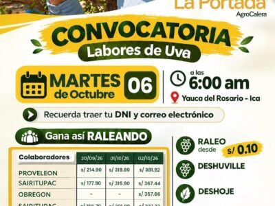 Raleo de uva