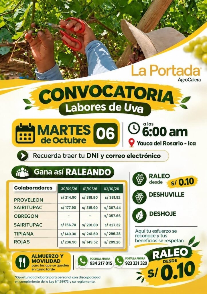Raleo de uva - Imagen 1