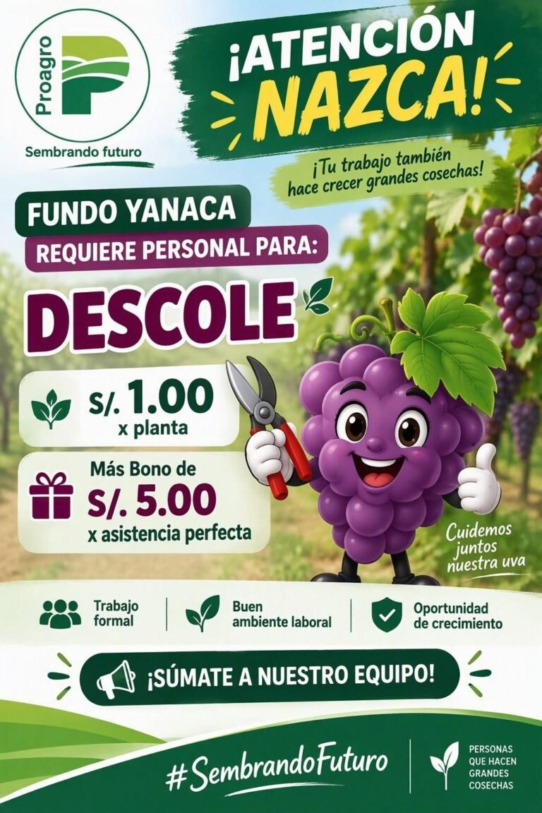 Personal para Descole de uva