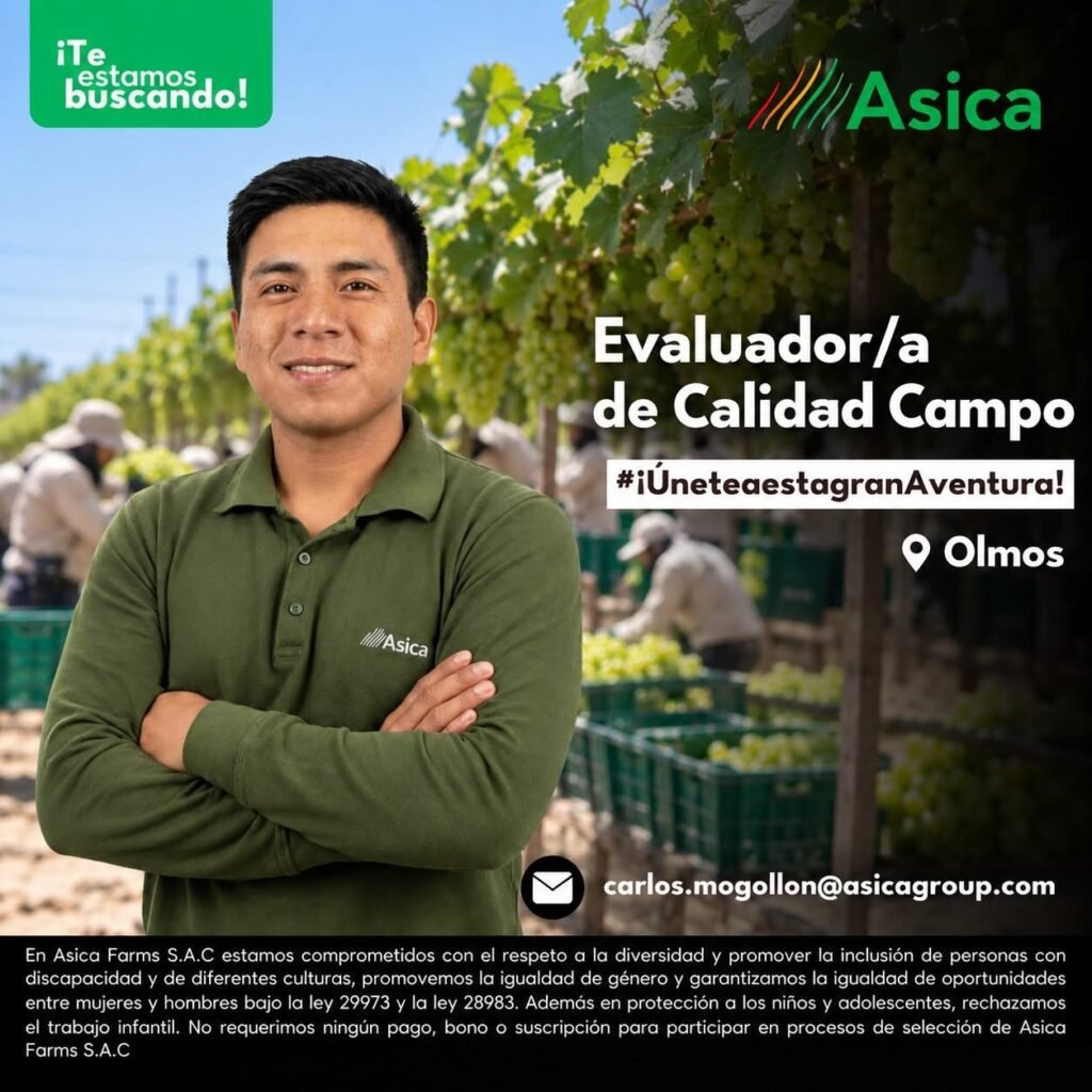 Trabajos en Asica Olmos - Imagen 5