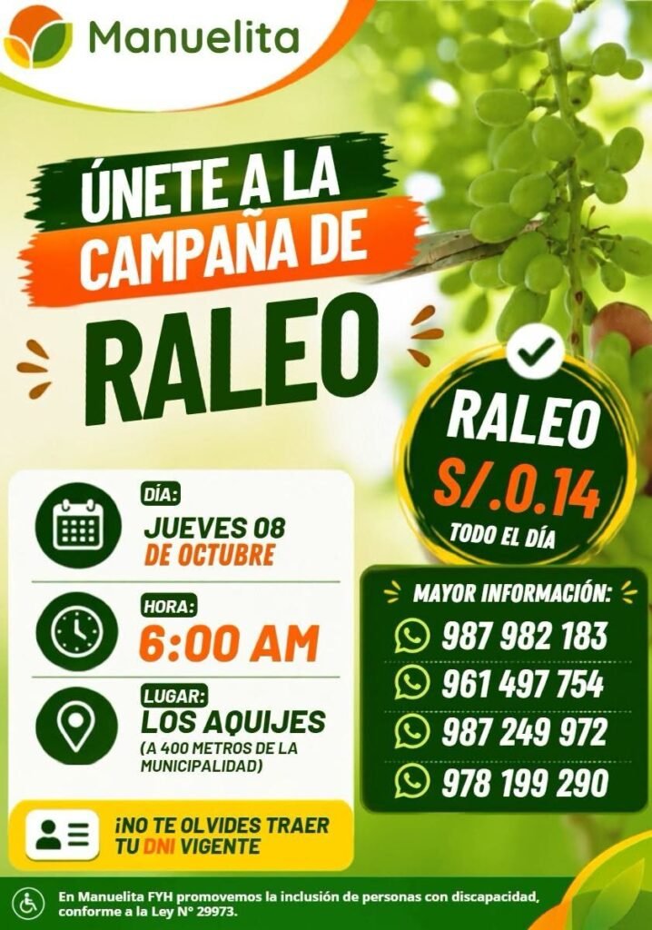 Raleo de uva en Mnauelita - Imagen 1
