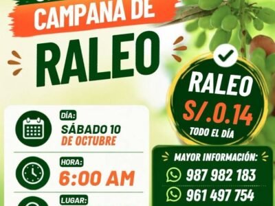 Raleo de uva