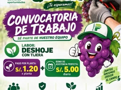 Deshoje de uva con tijera
