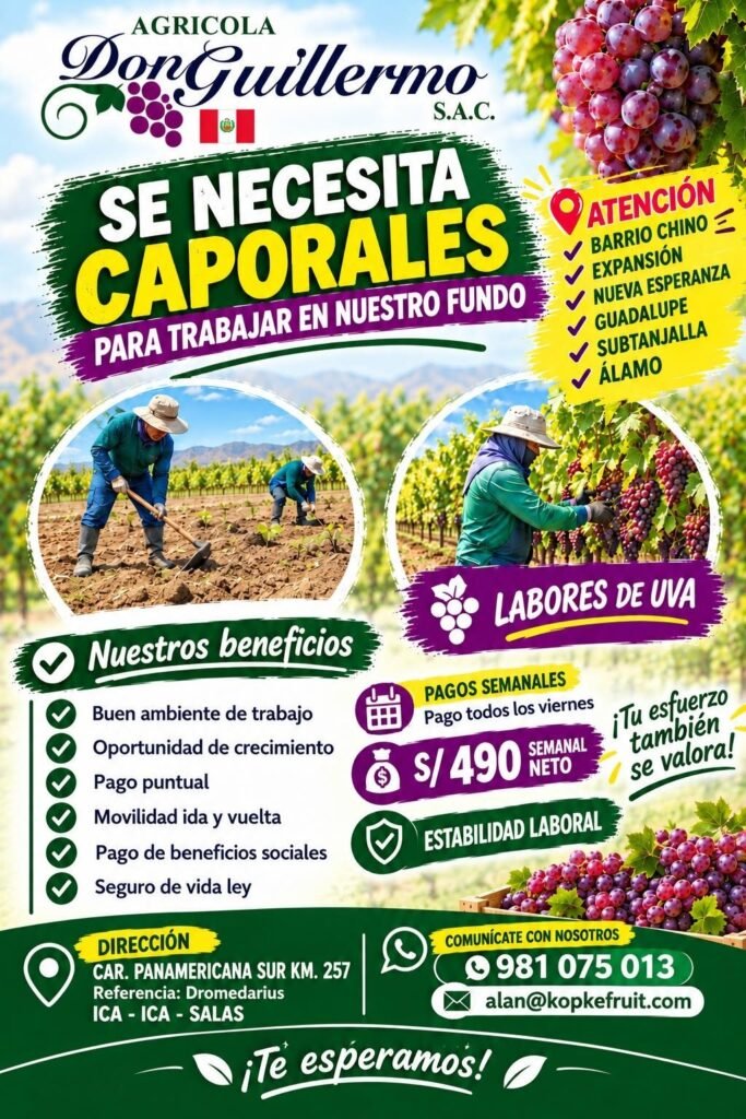 CAPORALES para labores de uva - Imagen 1