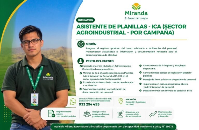 Asistente de Planillas