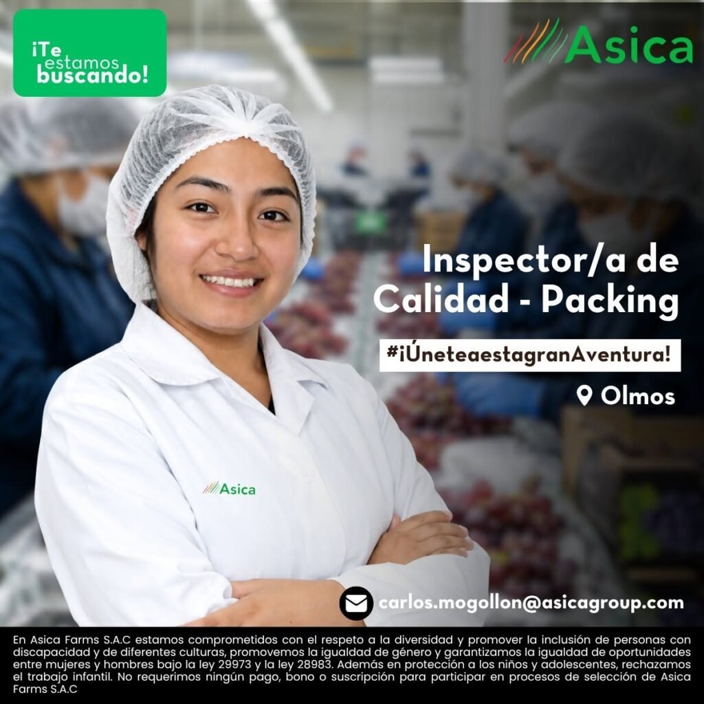 Trabajos en Asica Olmos - Imagen 1