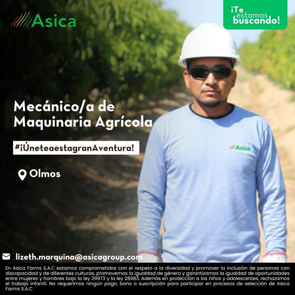 Trabajos en Asica Olmos - Imagen 7