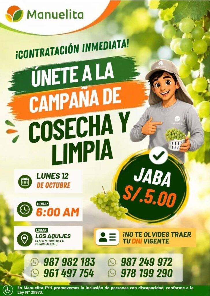 Cosecha de uva y 2 trabajos mas - Imagen 3