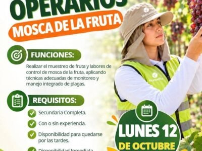 Cosecha de uva y 2 trabajos mas