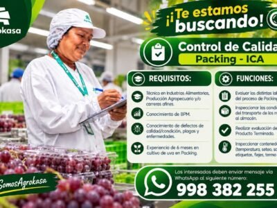 Control de Calidad