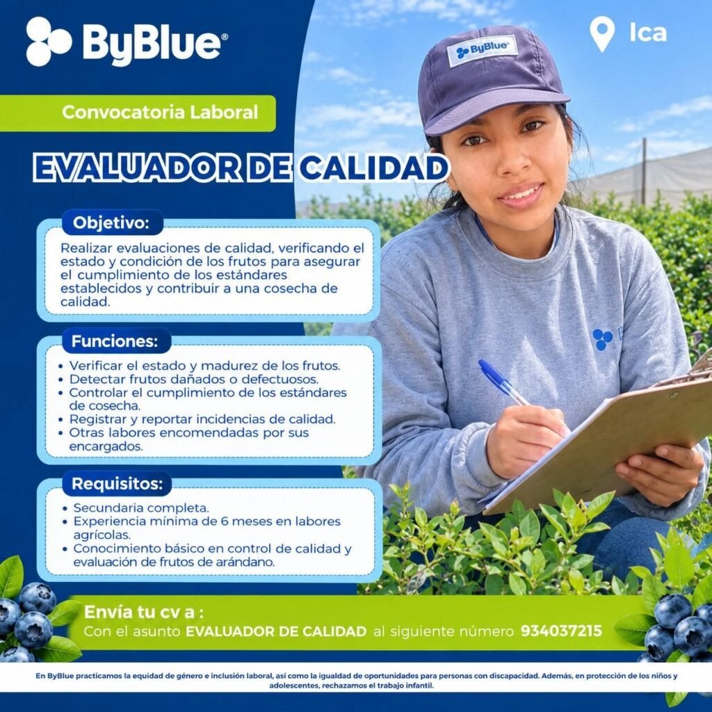 Evaluador de Calidad y 3 mas - Imagen 1