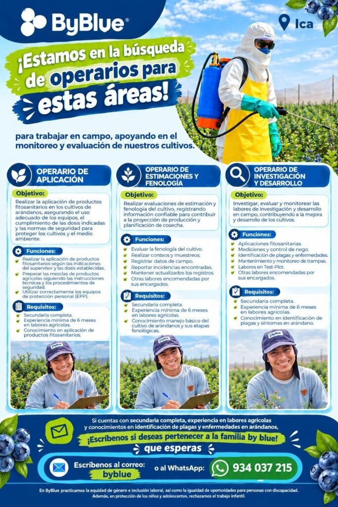 Evaluador de Calidad y 3 mas - Imagen 2