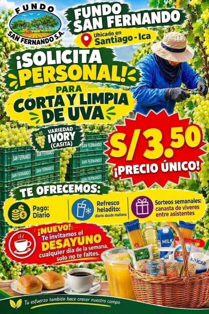 Cosecha y limpia planta red globe - Imagen 2