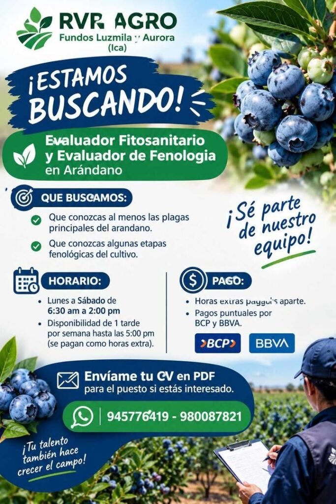 Evaluadores Fitosanitarios y Fenología - Imagen 1
