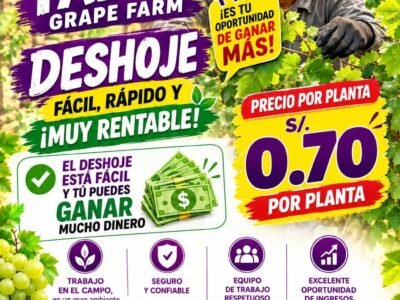 Puestos para deshoje