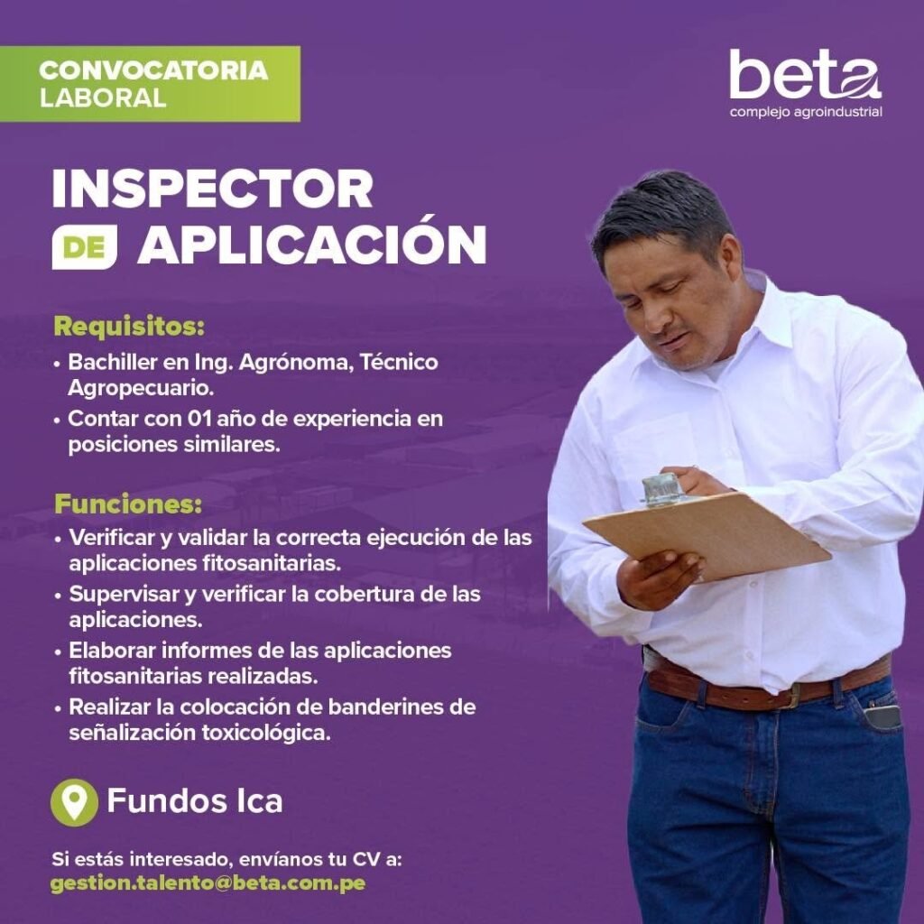 Inspector de Aplicación - Imagen 1