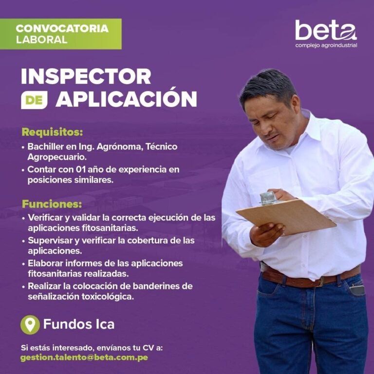 Inspector de Aplicación