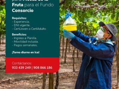 Se requiere personal para Agricola Safco