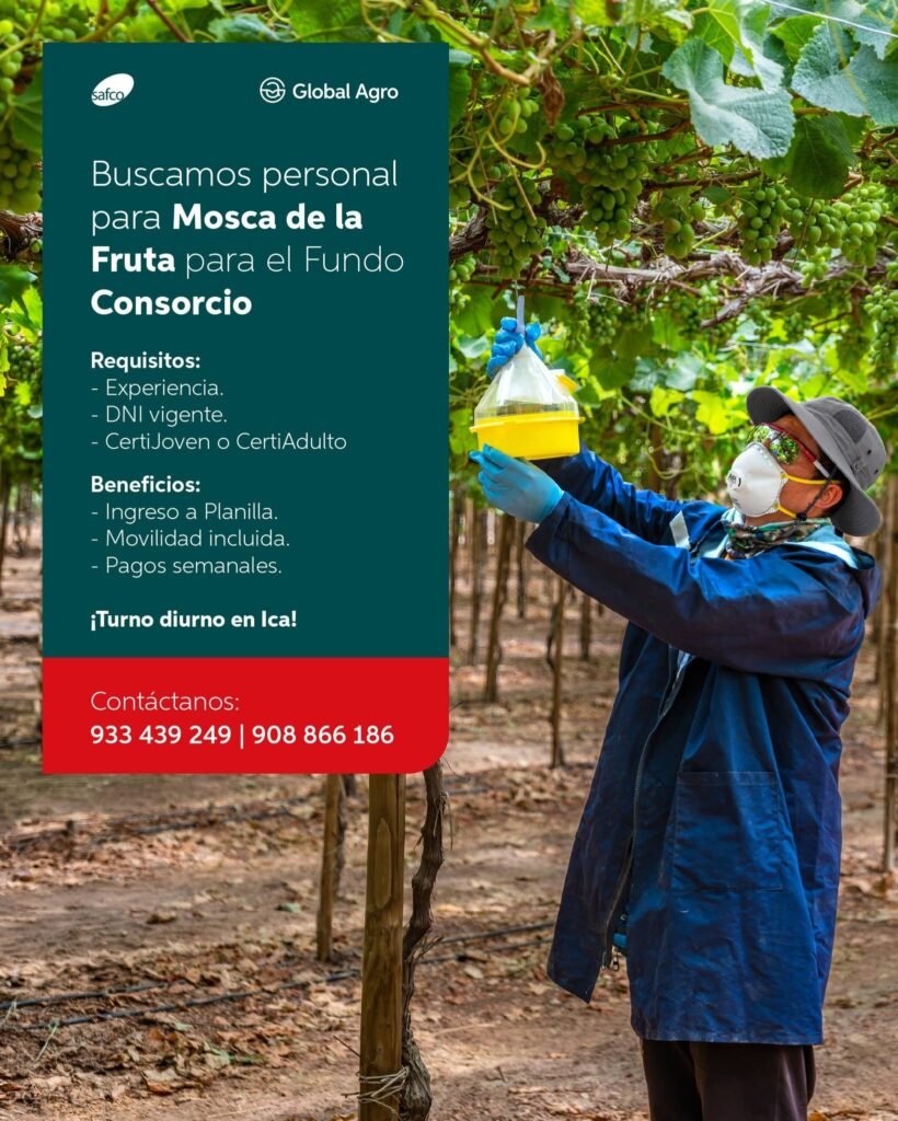 Se requiere personal para Agricola Safco - Imagen 1