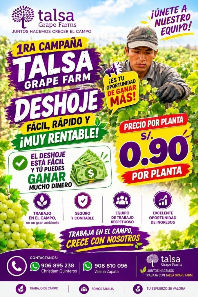 Deshoje y guiado de plantas - Imagen 1