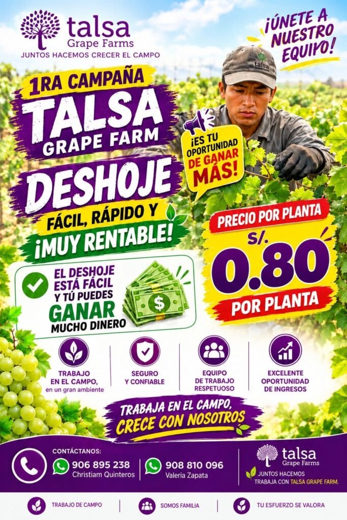 Deshoje y guiado de plantas - Imagen 2