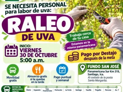 RALEO, DESHOJE, AJUSTE DE CARGA Y SUPERVISOR DE LABORES DE UVA – IQF DEL PERÚ (ICA)