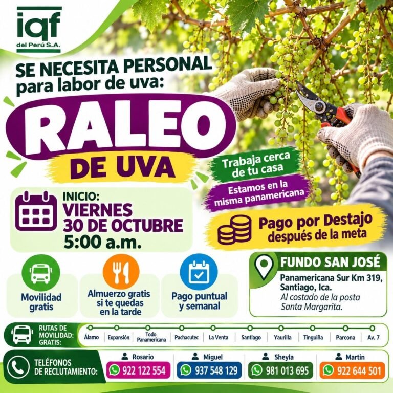 RALEO, DESHOJE, AJUSTE DE CARGA Y SUPERVISOR DE LABORES DE UVA – IQF DEL PERÚ (ICA)