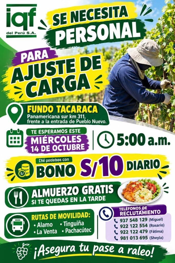 Personal para ajuste de carga - Imagen 1
