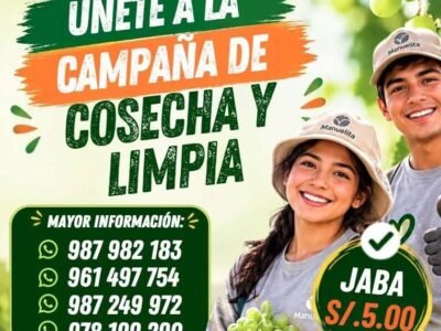 Cosecha y Limpia de uva – Contratación inmediata