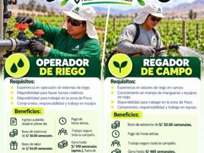Oportunidades laborales en Agrokasa – Fundo San Martín, Pisco