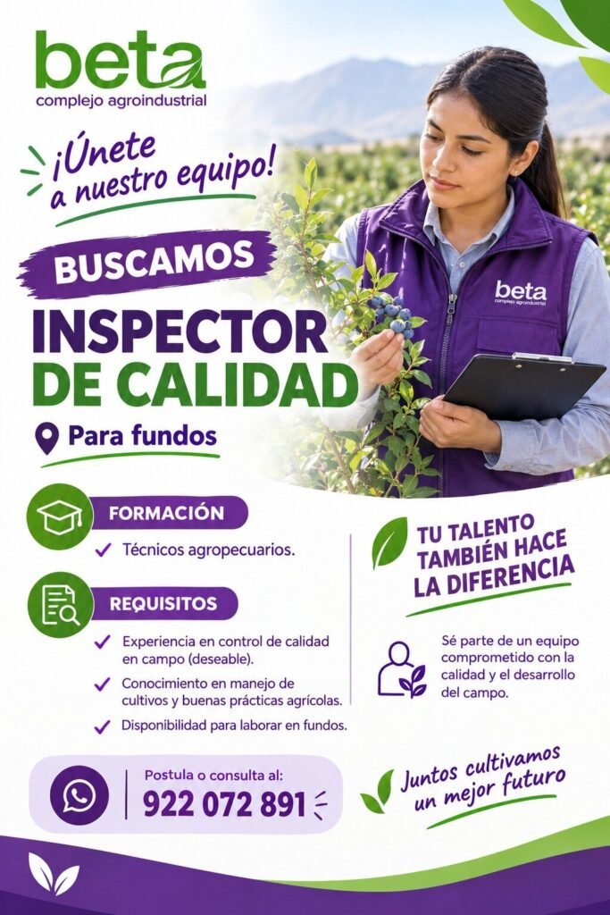 Inspector de Calidad