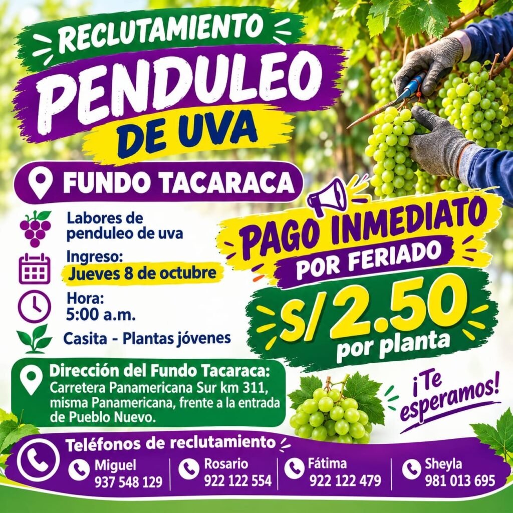 Penduleo de uva - Imagen 1