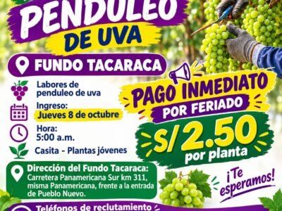 Penduleo de uva