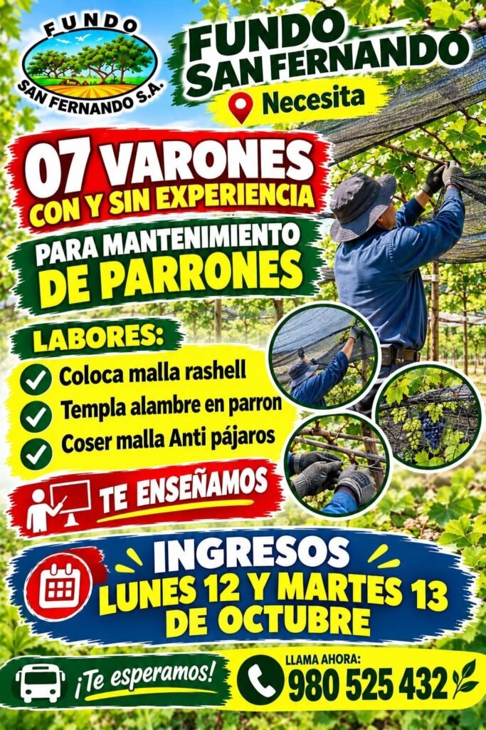 Raleo y prelimpia de uva - Imagen 1