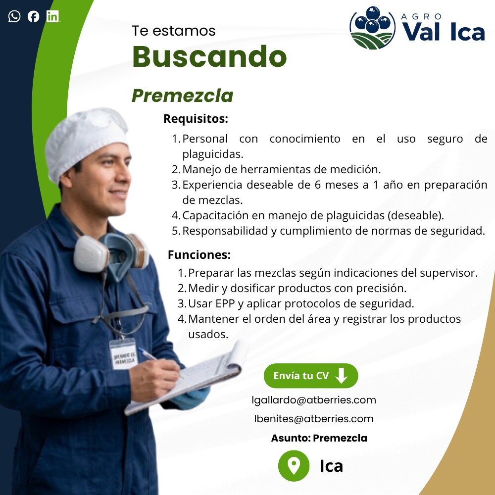Supervisor de sanidad y 4 trabajos mas - Imagen 4