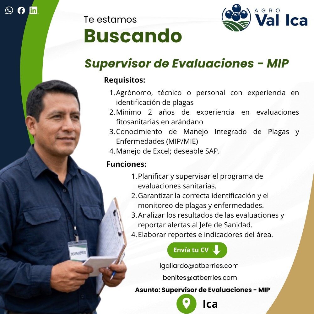 Supervisor de sanidad y 4 trabajos mas - Imagen 3